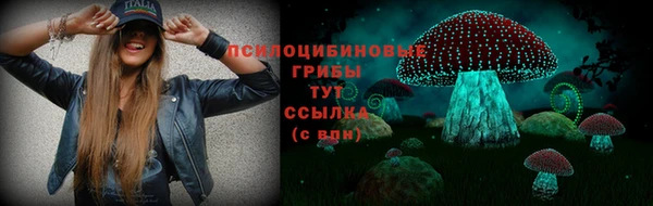 сатива Аркадак