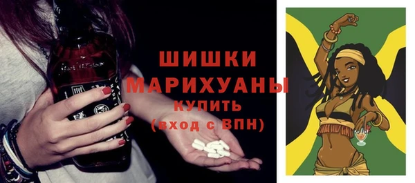 сатива Аркадак