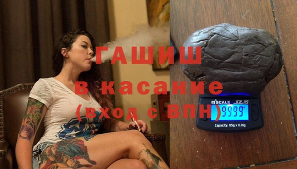 сатива Аркадак