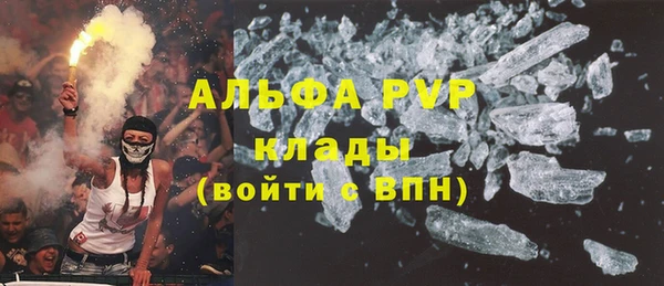 сатива Аркадак