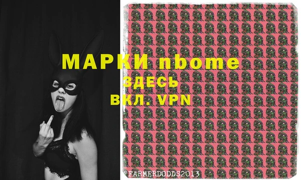 сатива Аркадак